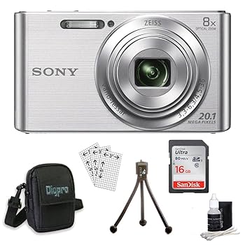 Amazon.com : Sony DSC-W830 Cyber-Shot 20.1MP 2.7-Inch LCD